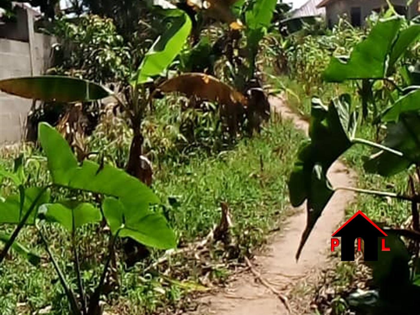 Agricultural Land for sale in Ensanji Wakiso