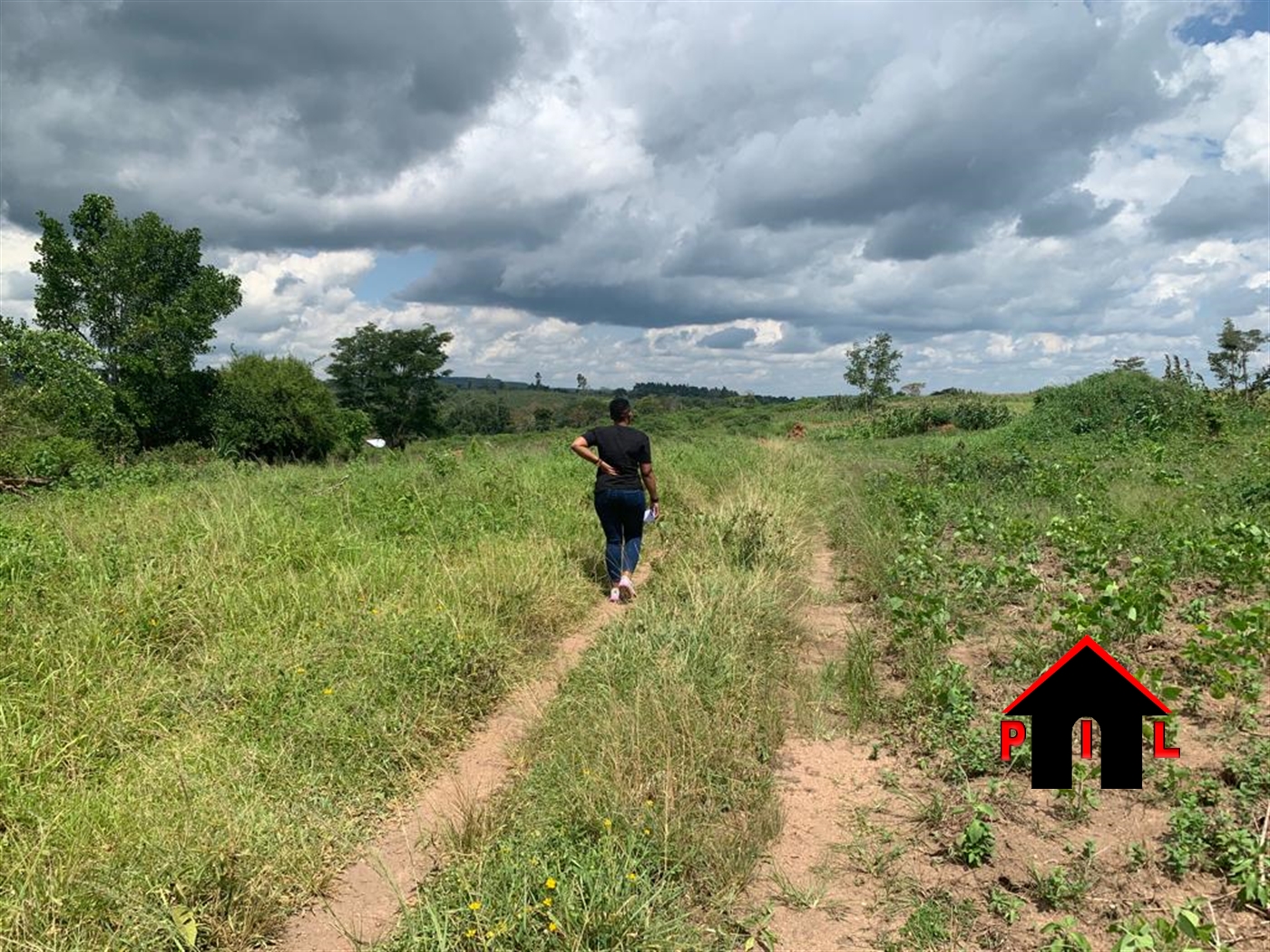 Agricultural Land for sale in Gombolola Gomba