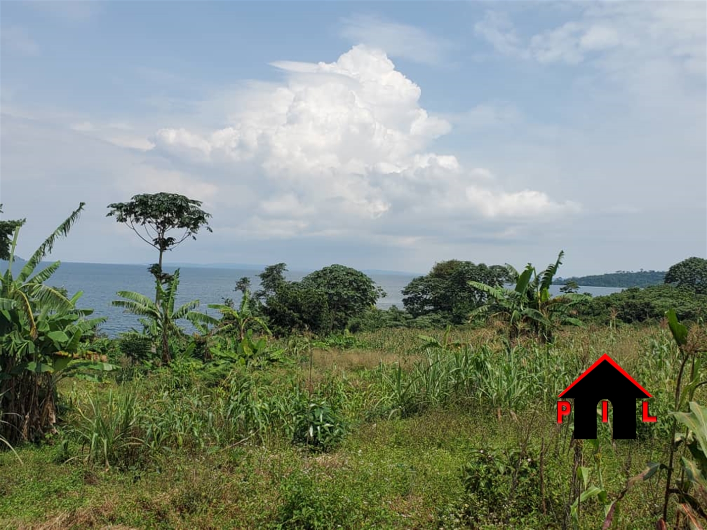Agricultural Land for sale in Bukunja Mukono