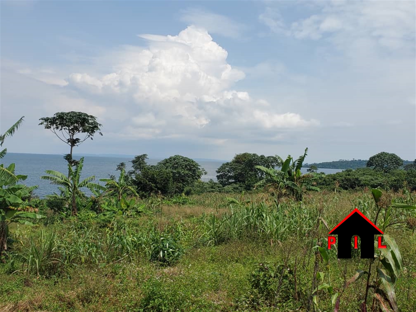 Agricultural Land for sale in Bukunja Mukono