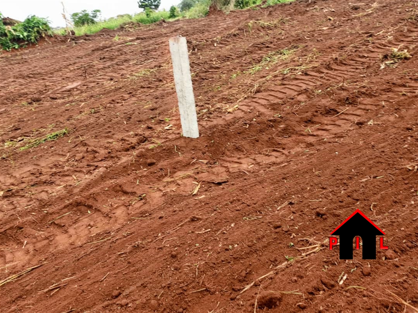 Agricultural Land for sale in Matugga Luweero