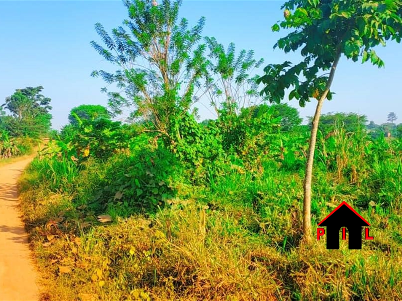 Agricultural Land for sale in Nsambwe Mukono