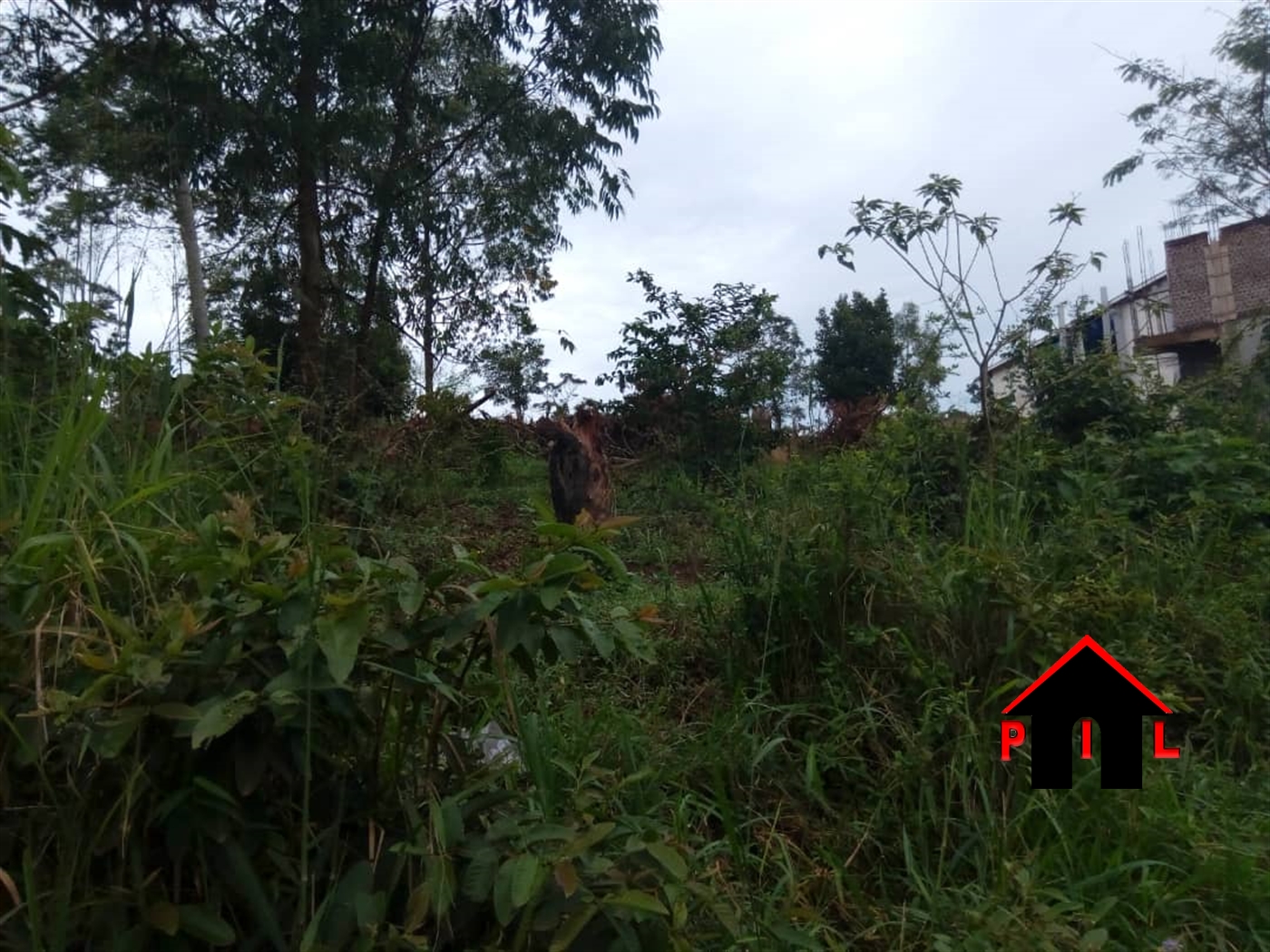 Agricultural Land for sale in Kabusinde Luweero
