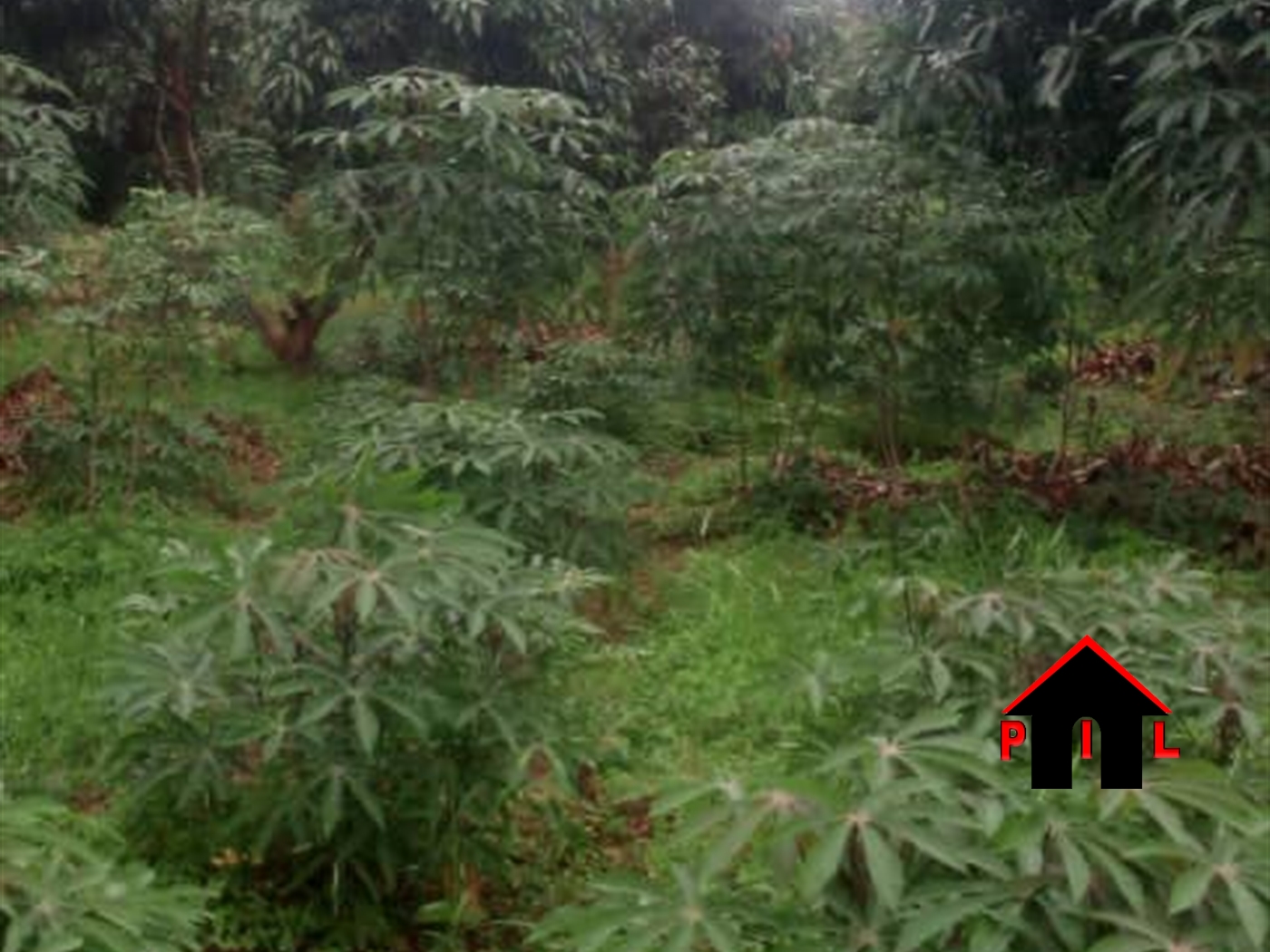 Agricultural Land for sale in Kyanuna Wakiso