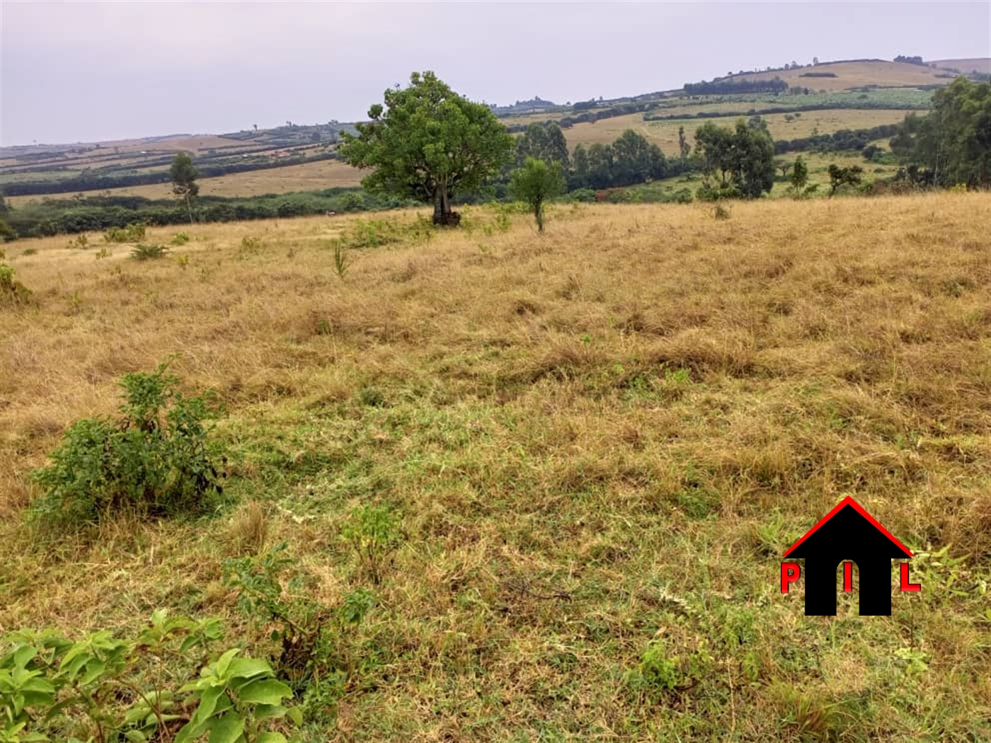 Commercial Land for sale in Rushenyi Ntungamo
