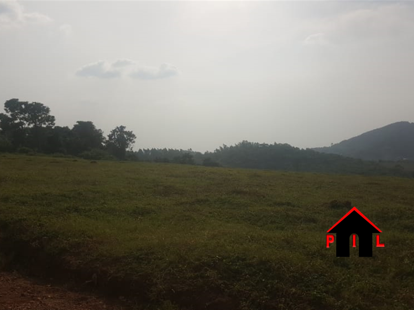 Agricultural Land for sale in Biyinzika Luweero