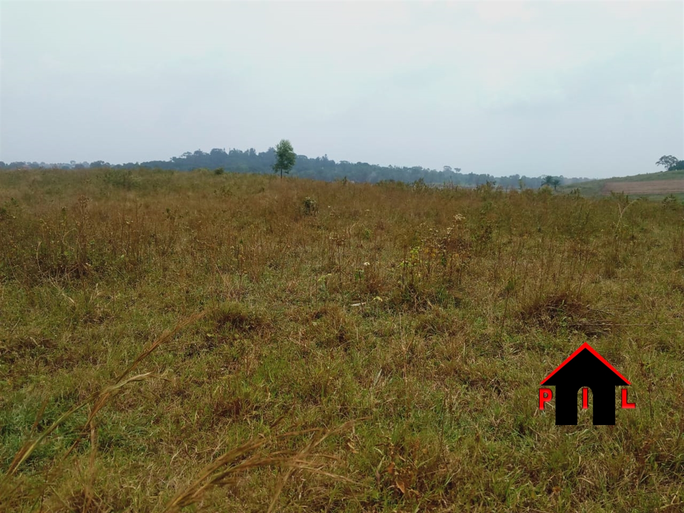 Residential Land for sale in Kiwanula Luweero