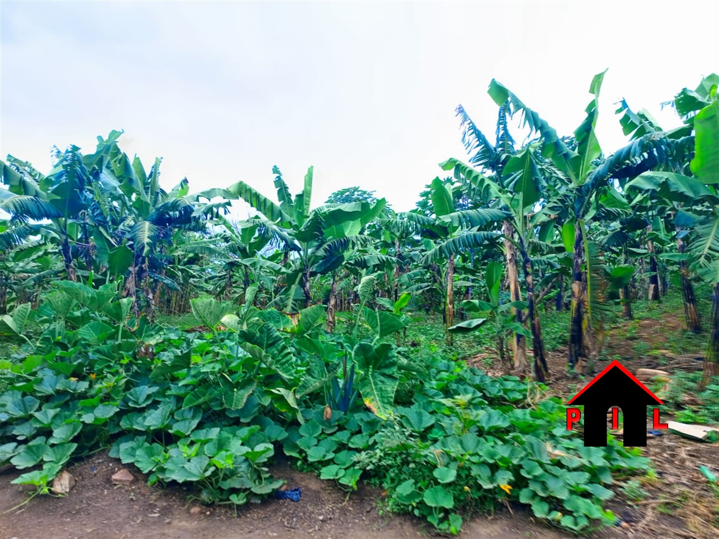 Agricultural Land for sale in Kitenderi Wakiso