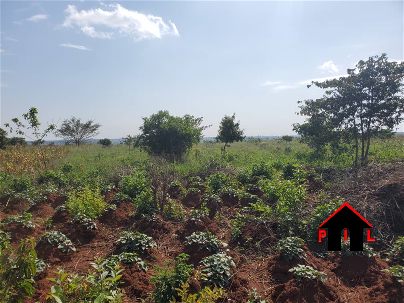 Agricultural Land for sale in Kabunyata Luweero
