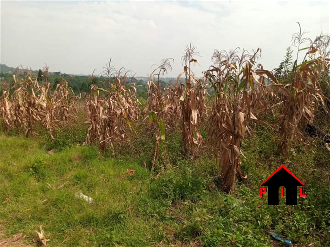 Commercial Land for sale in Namasiga Wakiso