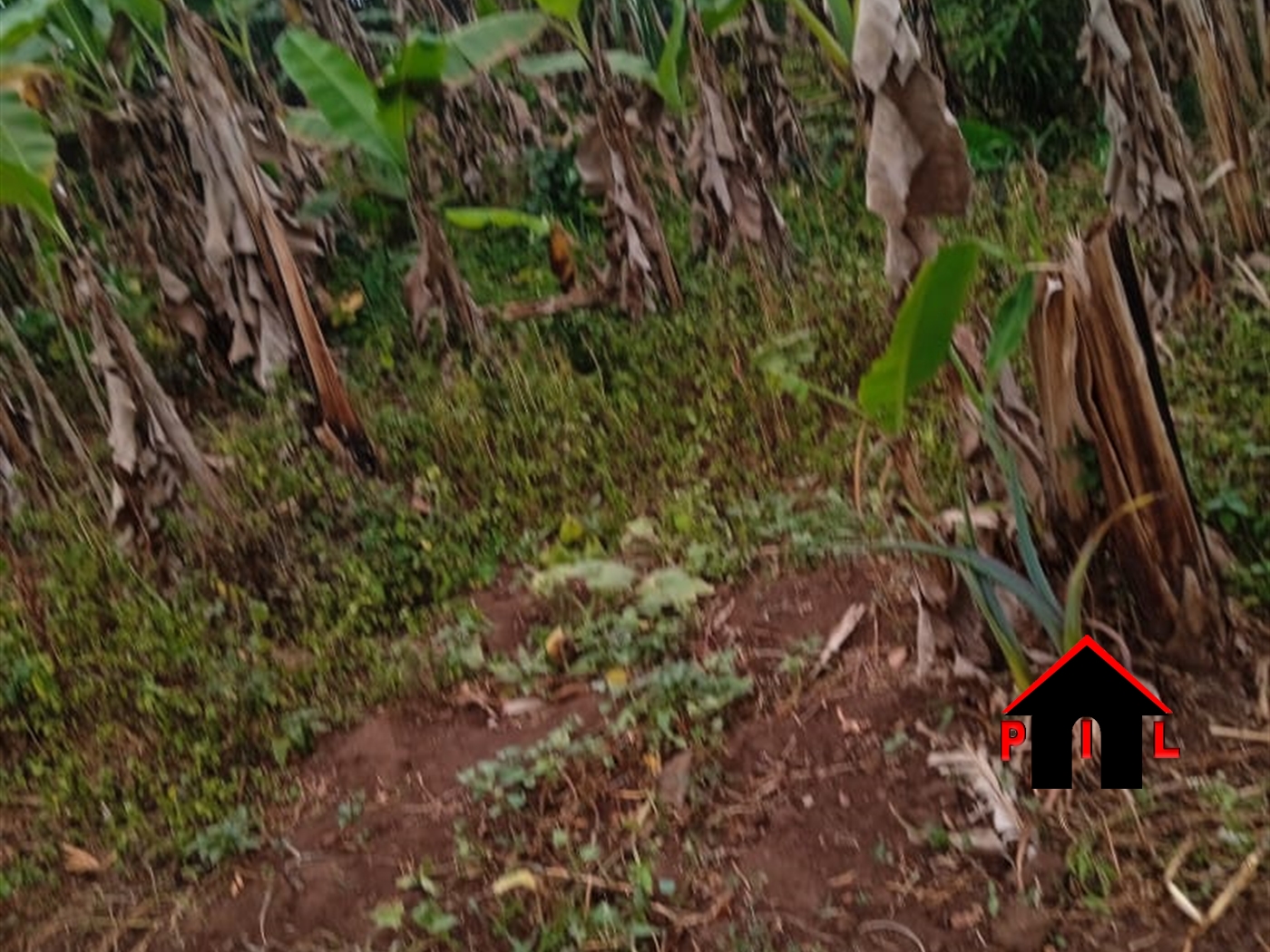 Agricultural Land for sale in Mwelerwe Wakiso