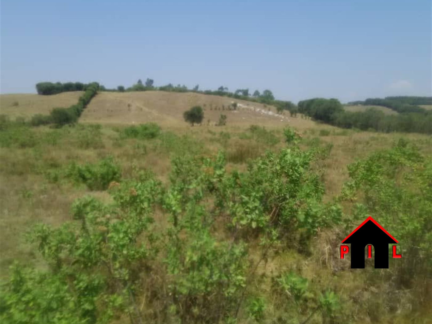 Agricultural Land for sale in Obugando Moyo