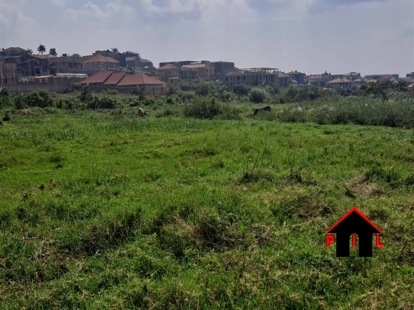 Commercial Land for sale in Busaana Kayunga