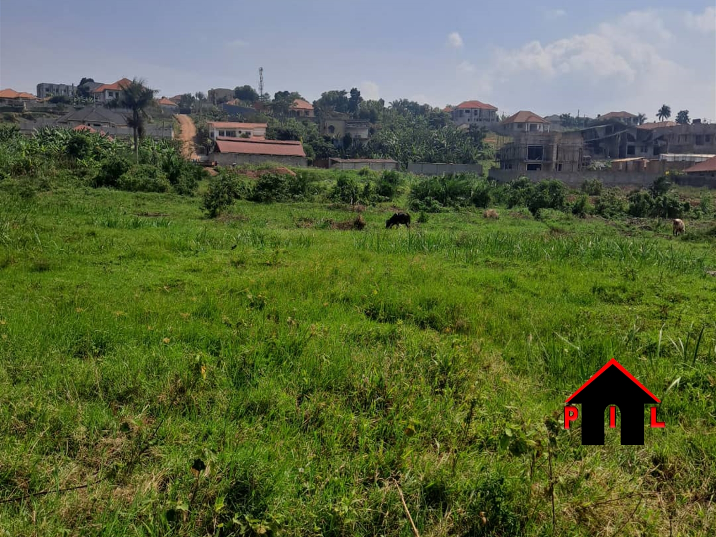 Commercial Land for sale in Busaana Kayunga
