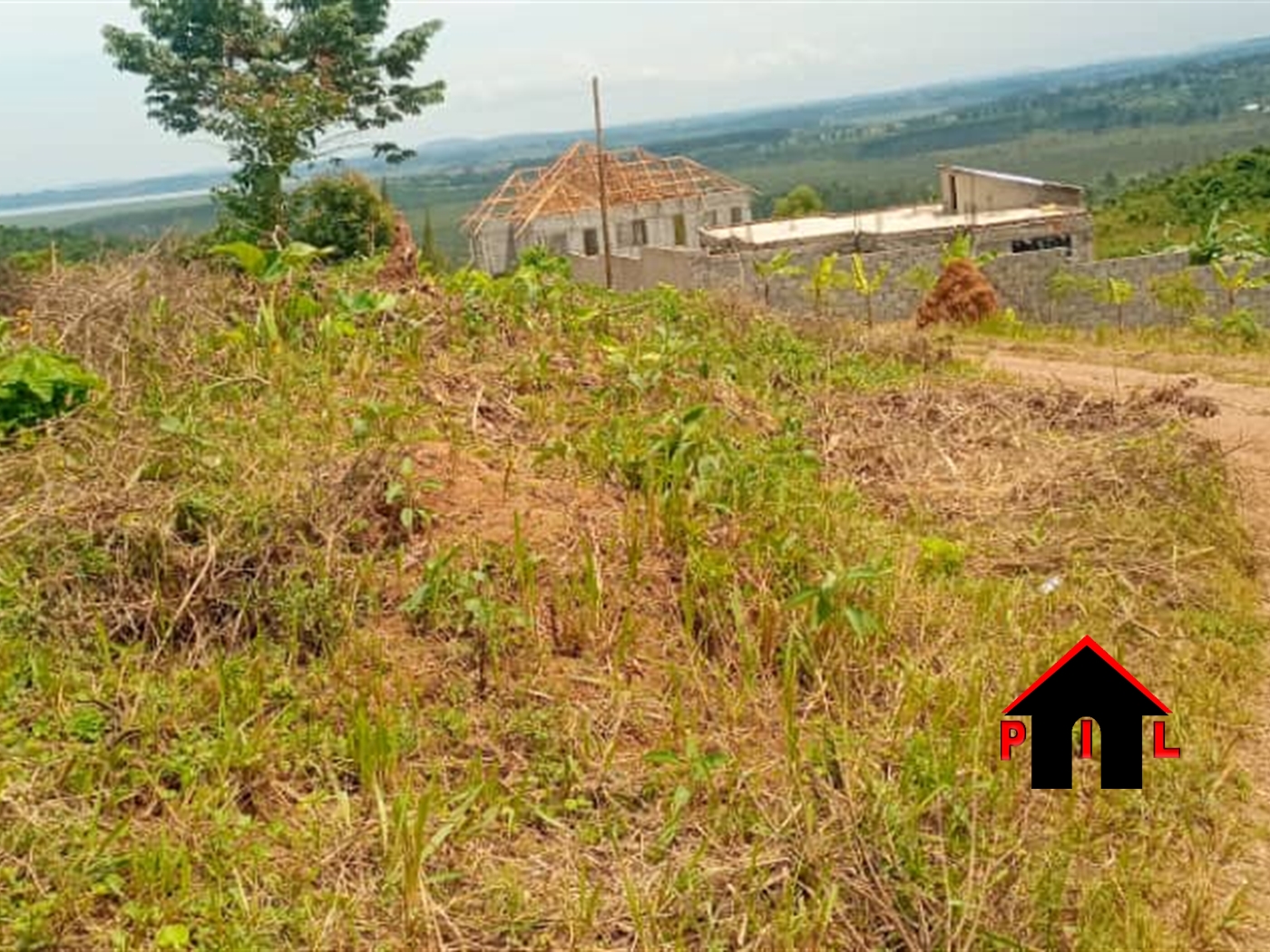 Agricultural Land for sale in Lukoge Nakasongola