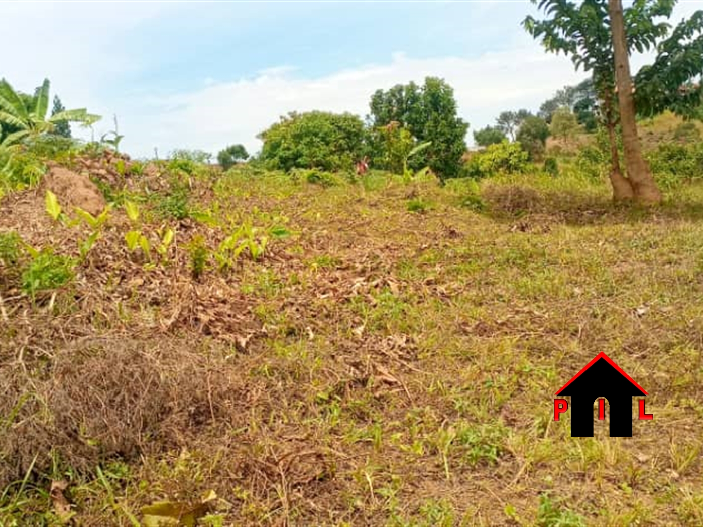 Agricultural Land for sale in Lukoge Nakasongola