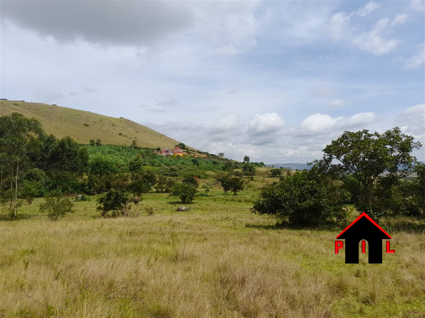 Commercial Land for sale in Ruhaama Ntungamo