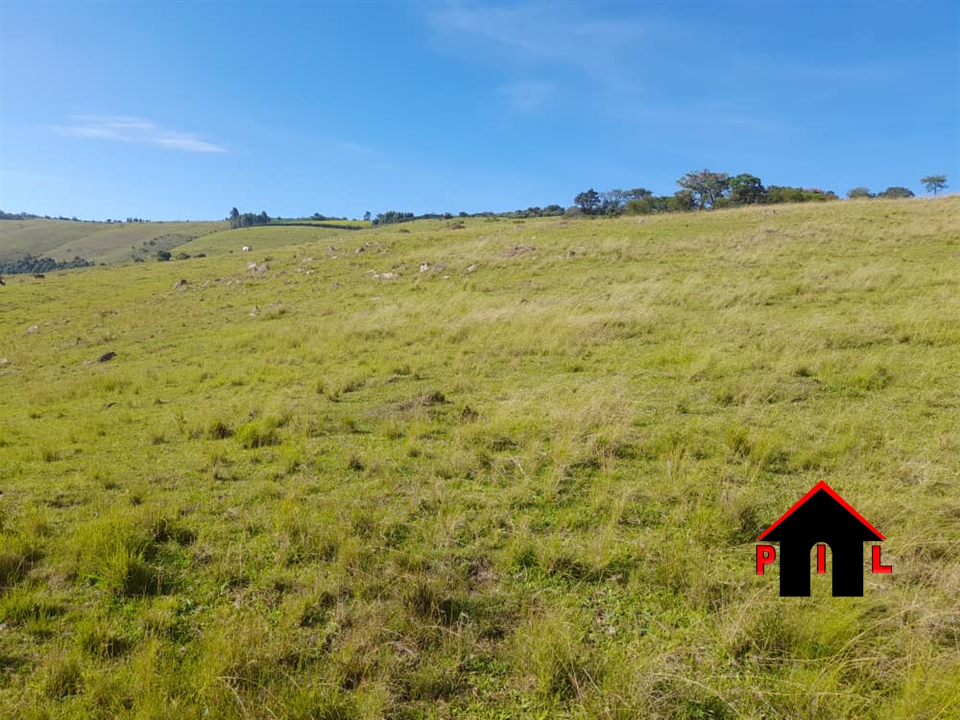 Commercial Land for sale in Ruhaama Ntungamo