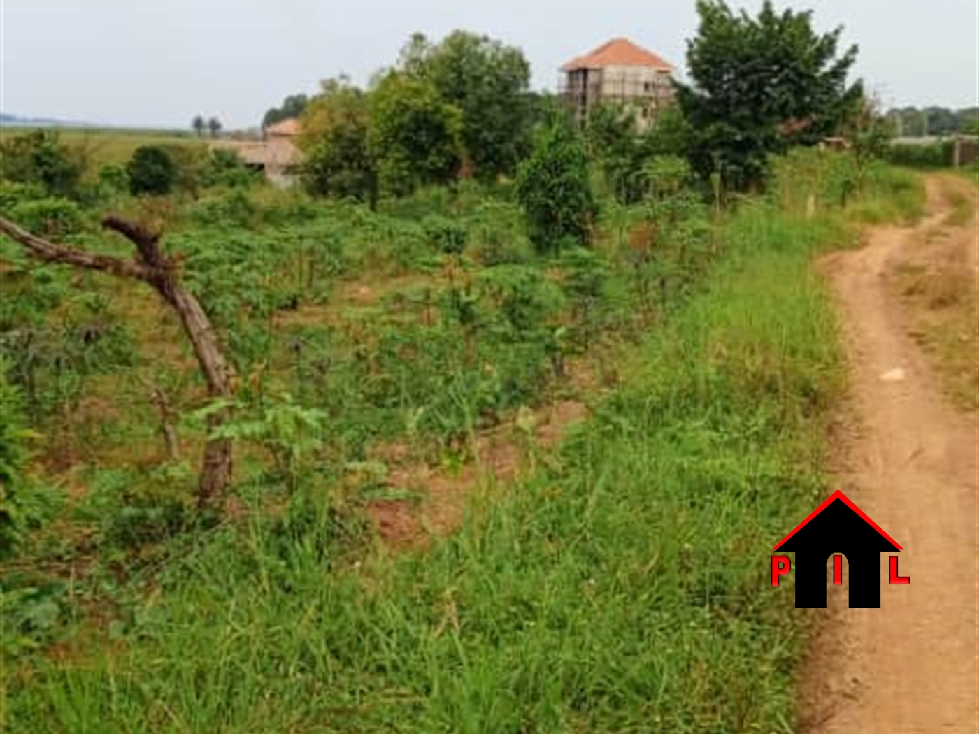 Agricultural Land for sale in Kyeyindula Luweero