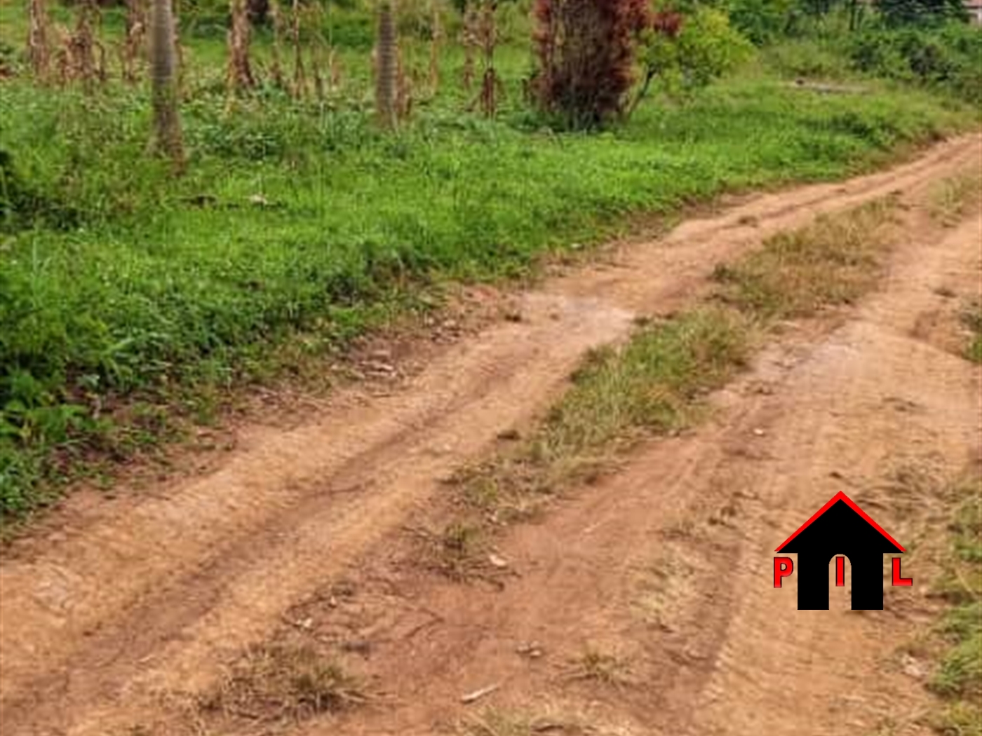Agricultural Land for sale in Kyeyindula Luweero