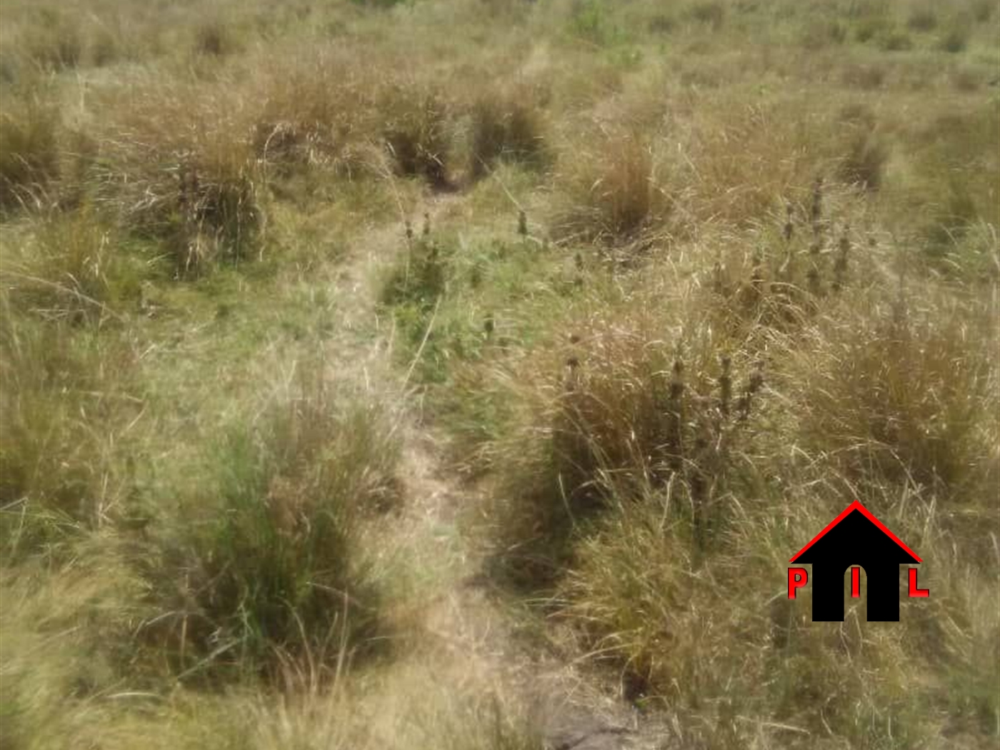 Agricultural Land for sale in Nyakariro Ntungamo
