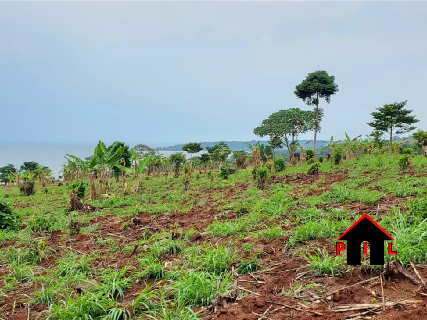 Agricultural Land for sale in Bukuja Wakiso