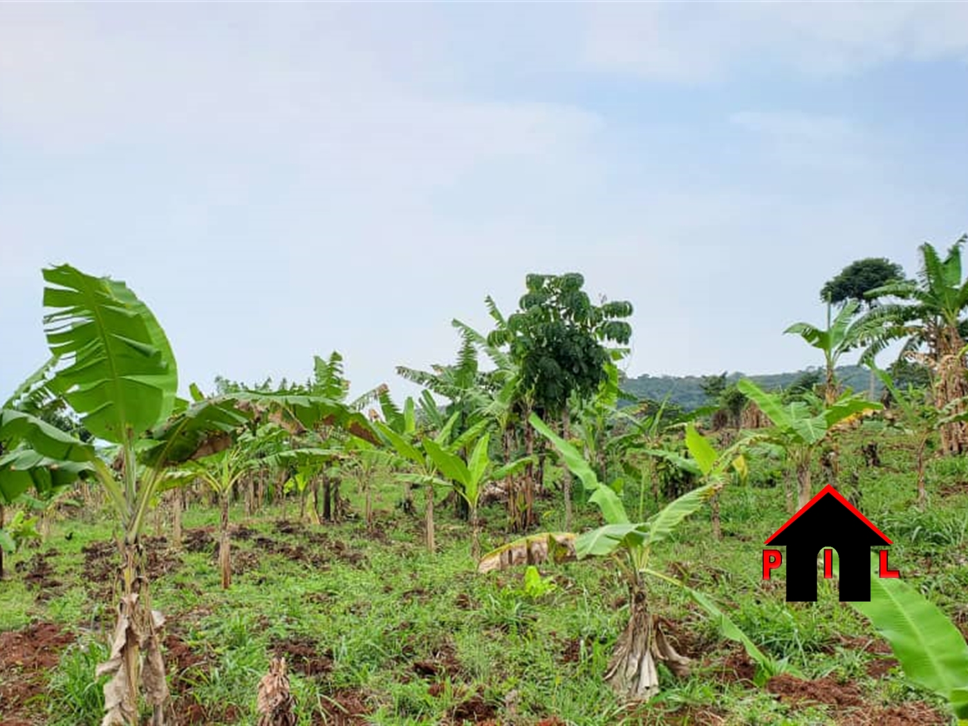 Agricultural Land for sale in Bukuja Wakiso