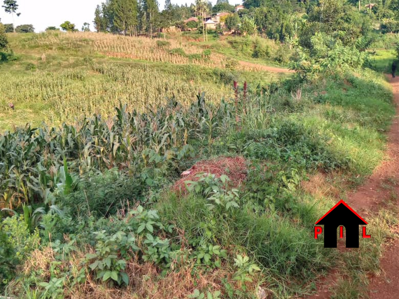 Agricultural Land for sale in Namawonjolo Mukono