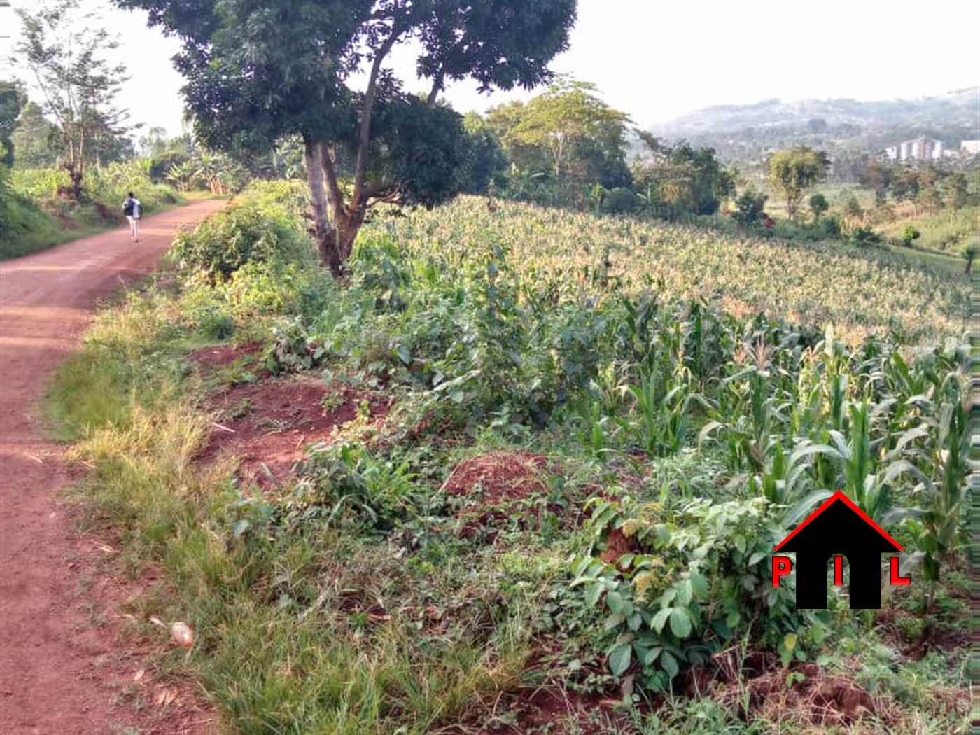 Agricultural Land for sale in Namawonjolo Mukono