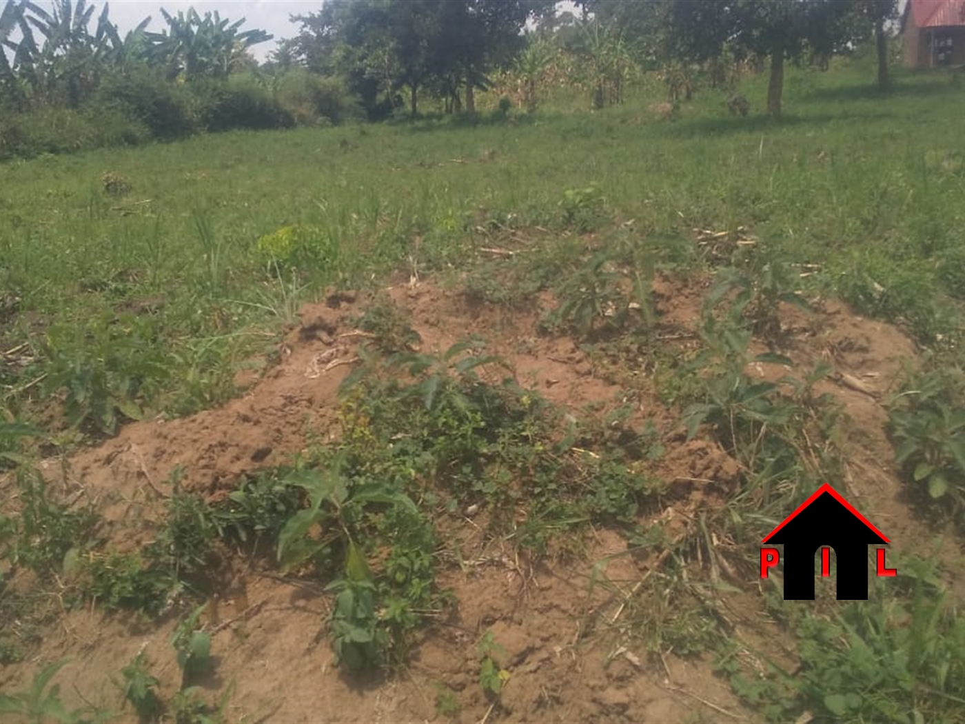 Agricultural Land for sale in Bukomelo Kiboga