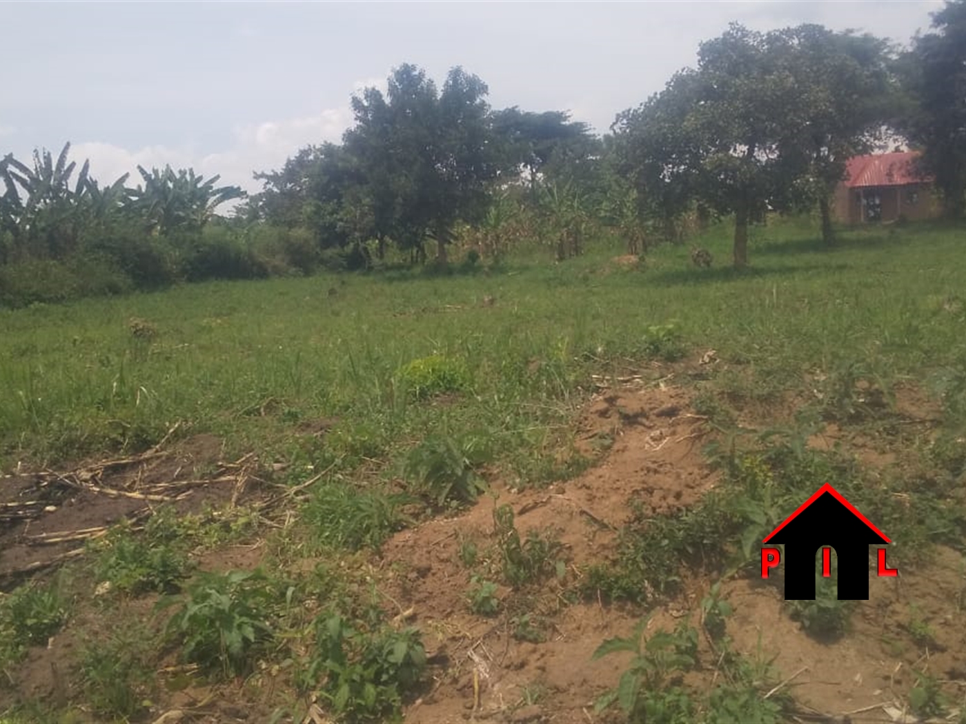 Agricultural Land for sale in Bukomelo Kiboga