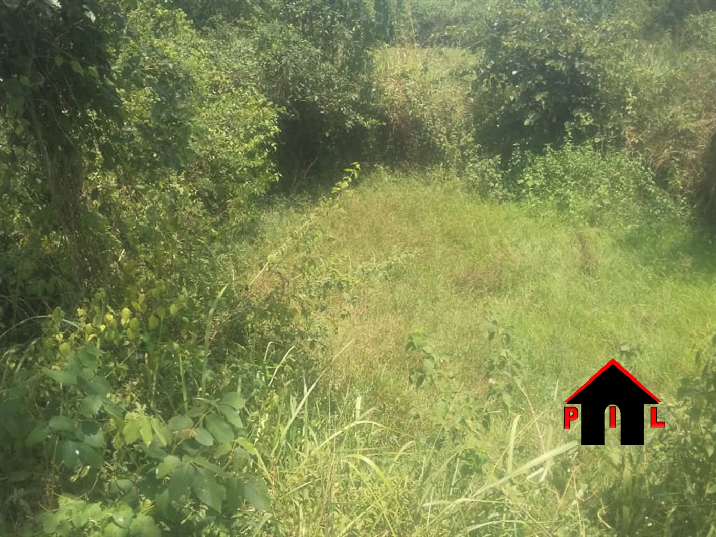 Commercial Land for sale in Rubaare Ntungamo
