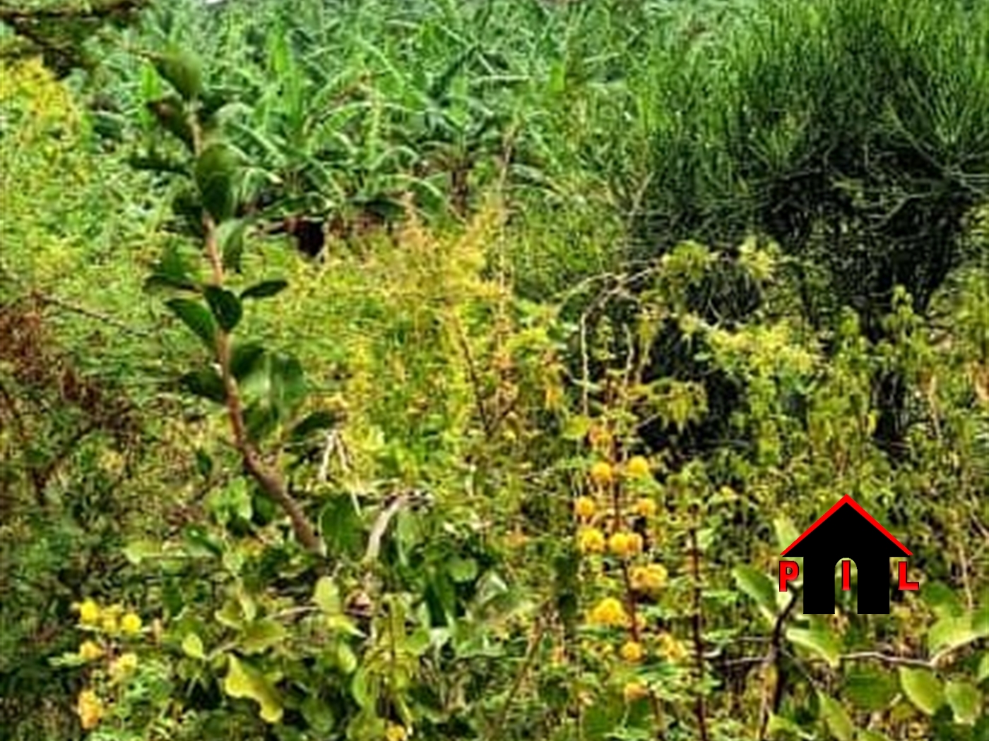 Commercial Land for sale in Nyakanengo Mbarara