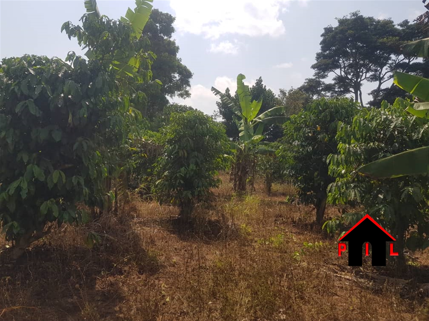 Commercial Land for sale in Ndejje Wakiso
