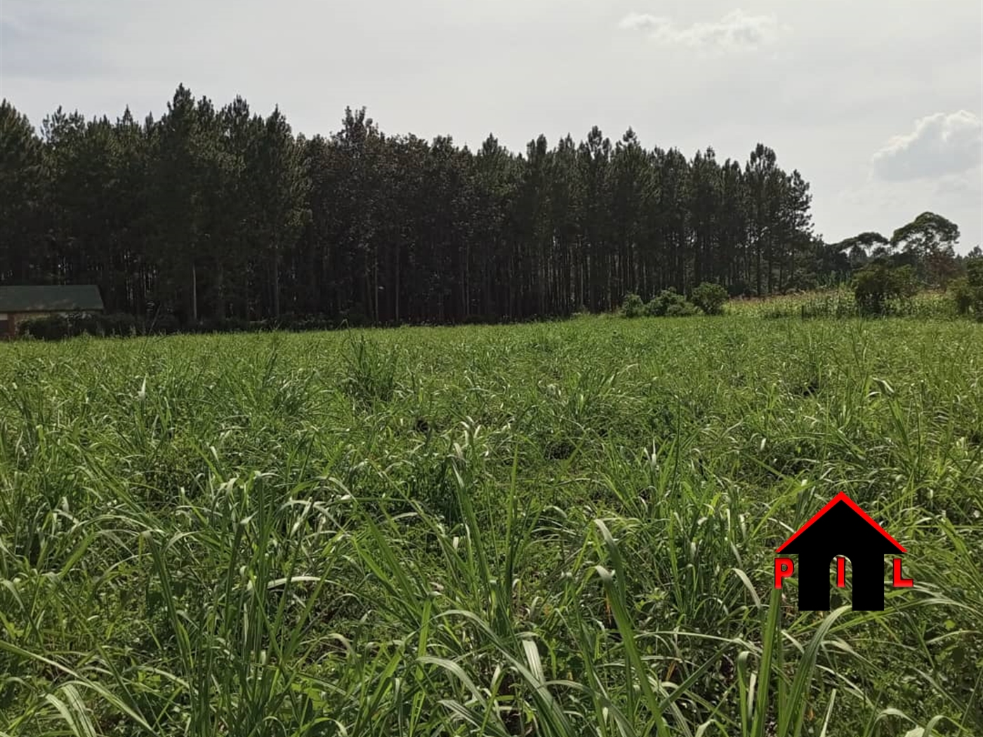 Agricultural Land for sale in Bukomelo Kiboga