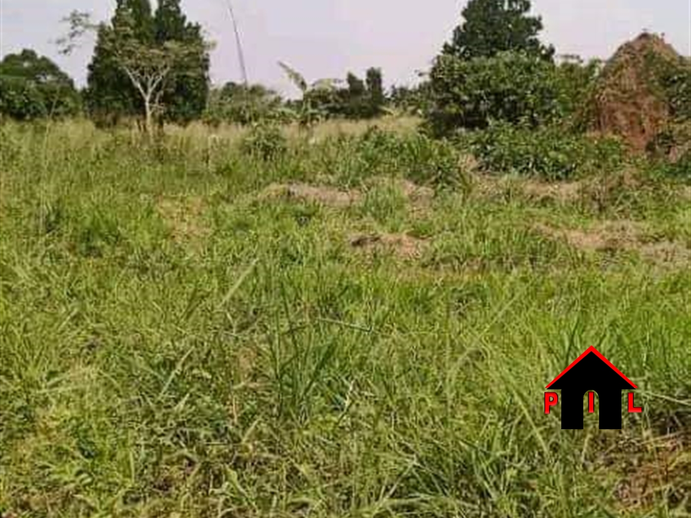 Commercial Land for sale in Nalongo Luweero
