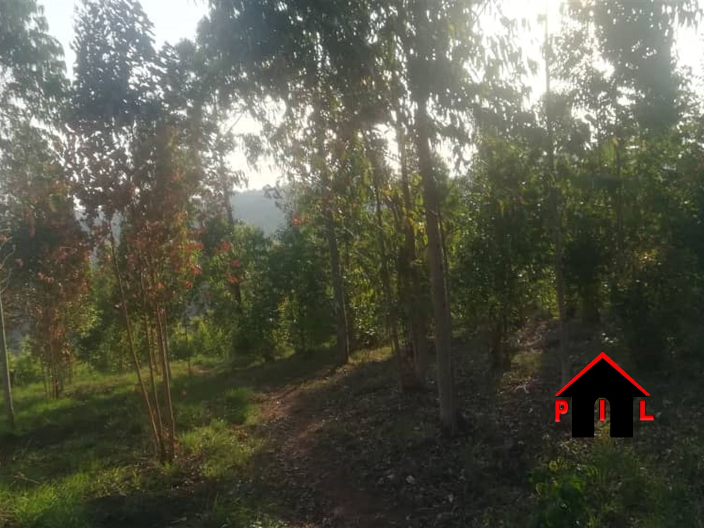 Commercial Land for sale in Kassanda Kamuli