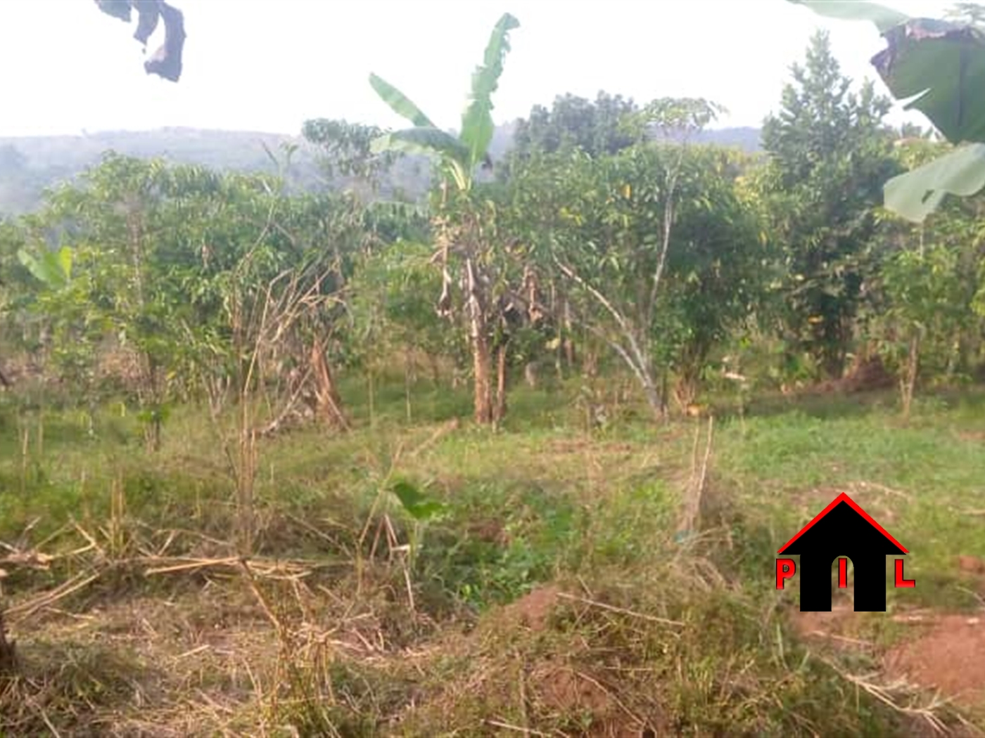 Commercial Land for sale in Gombe Wakiso