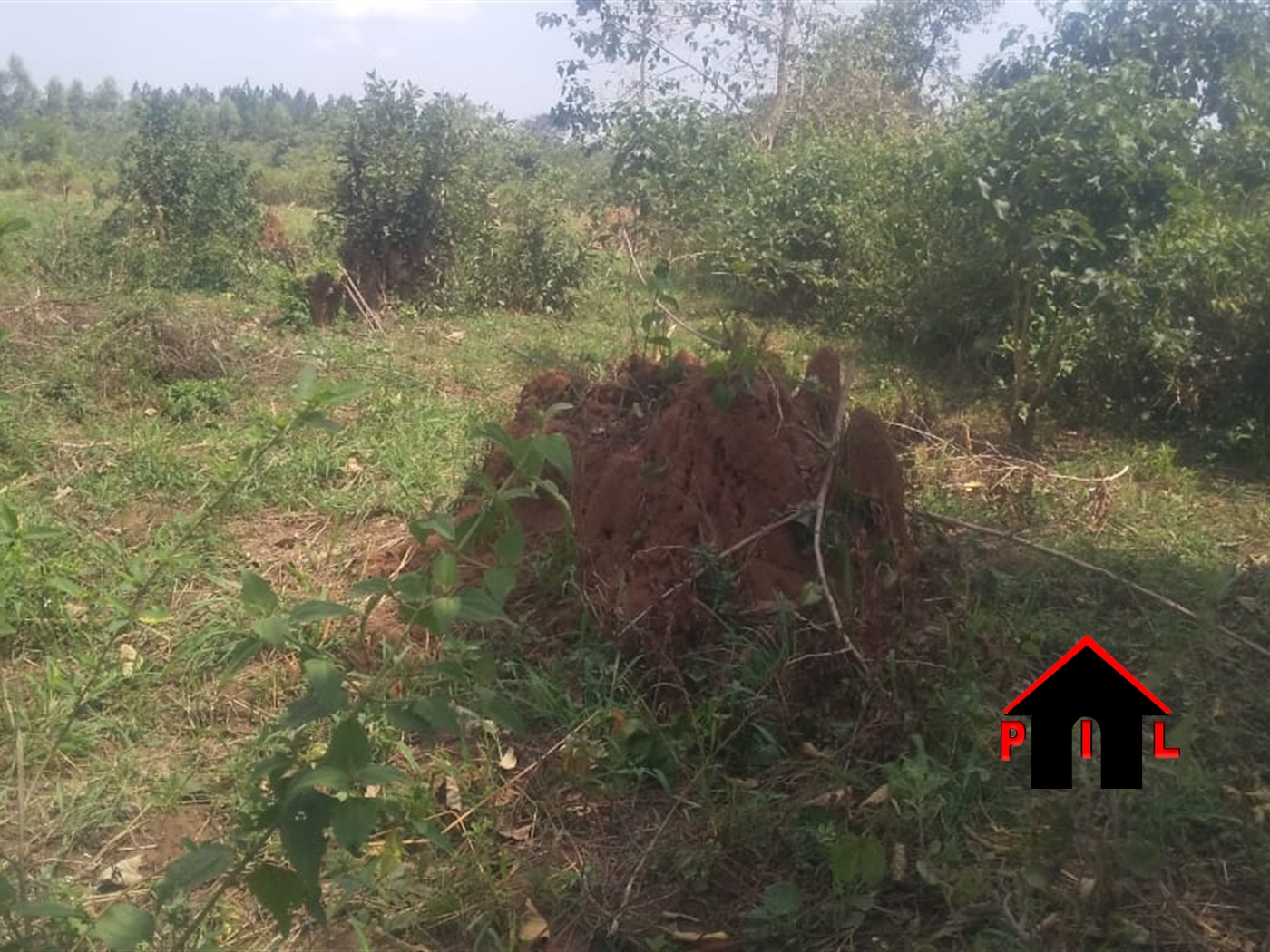 Commercial Land for sale in Kyamusisi Mityana