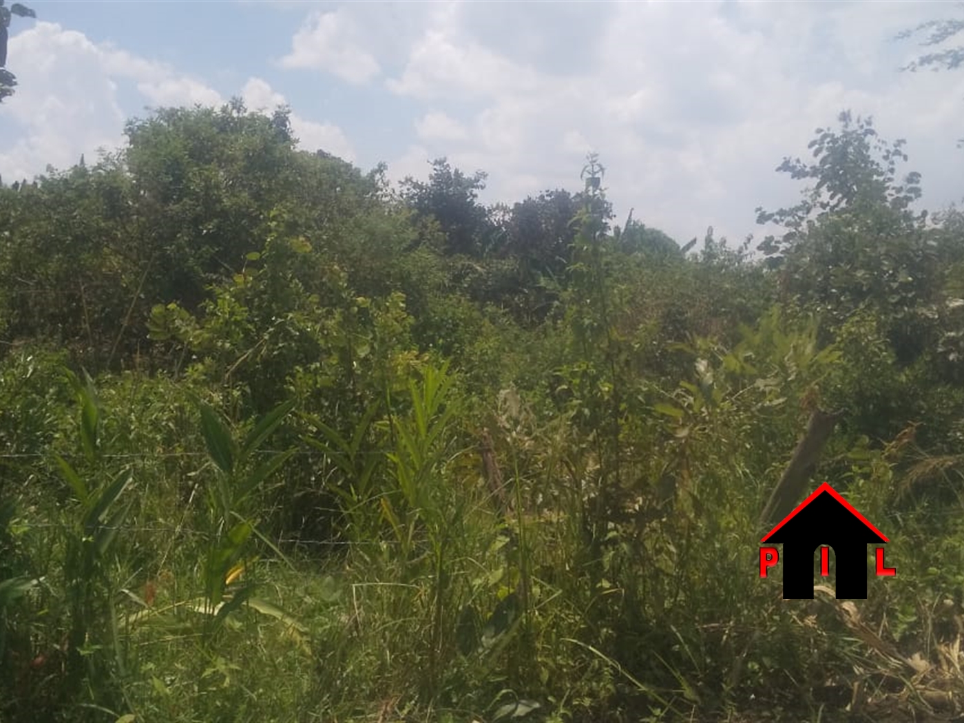 Agricultural Land for sale in Kyamusisi Mityana