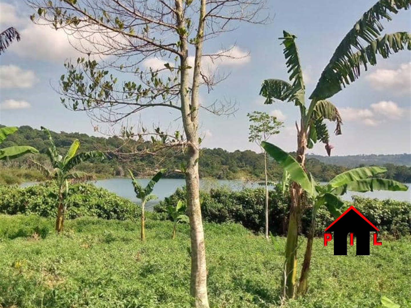 Multipurpose Land for sale in Nansagazi Wakiso