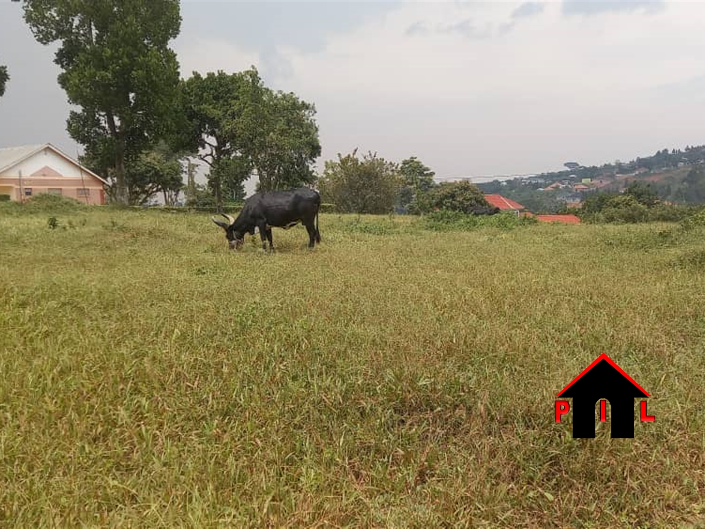 Commercial Land for sale in Kaliiti Wakiso