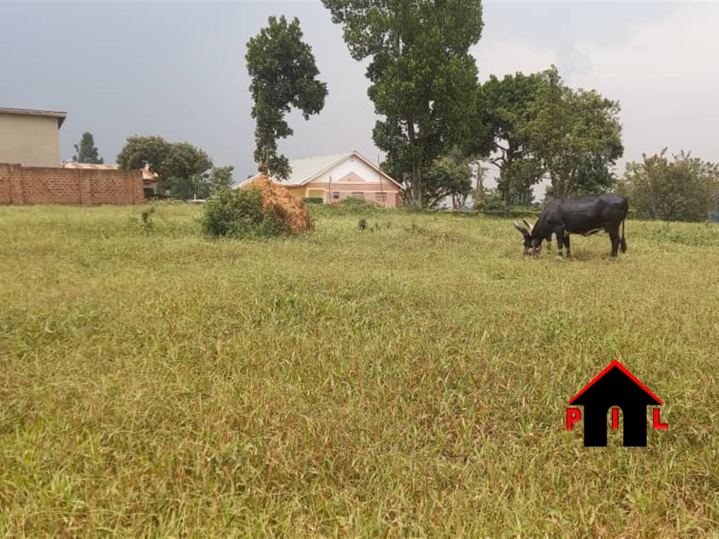 Commercial Land for sale in Kaliiti Wakiso