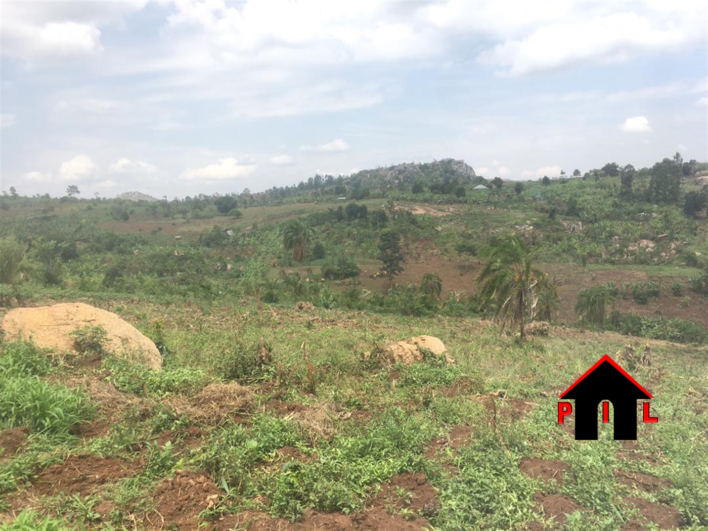 Agricultural Land for sale in Katente Kyegegwa