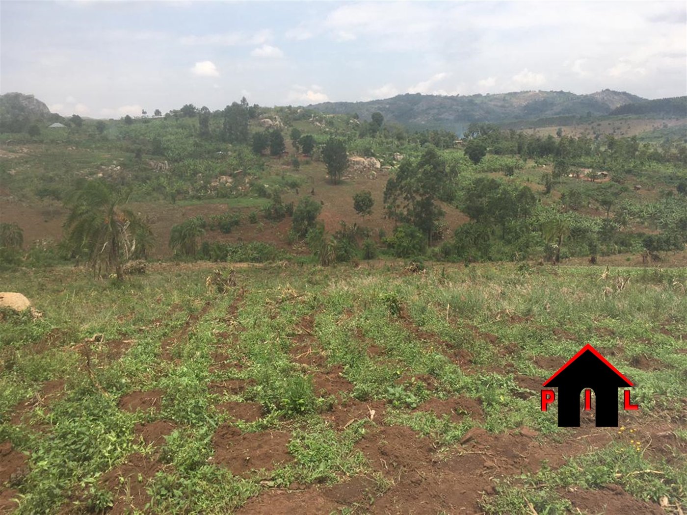 Agricultural Land for sale in Katente Kyegegwa
