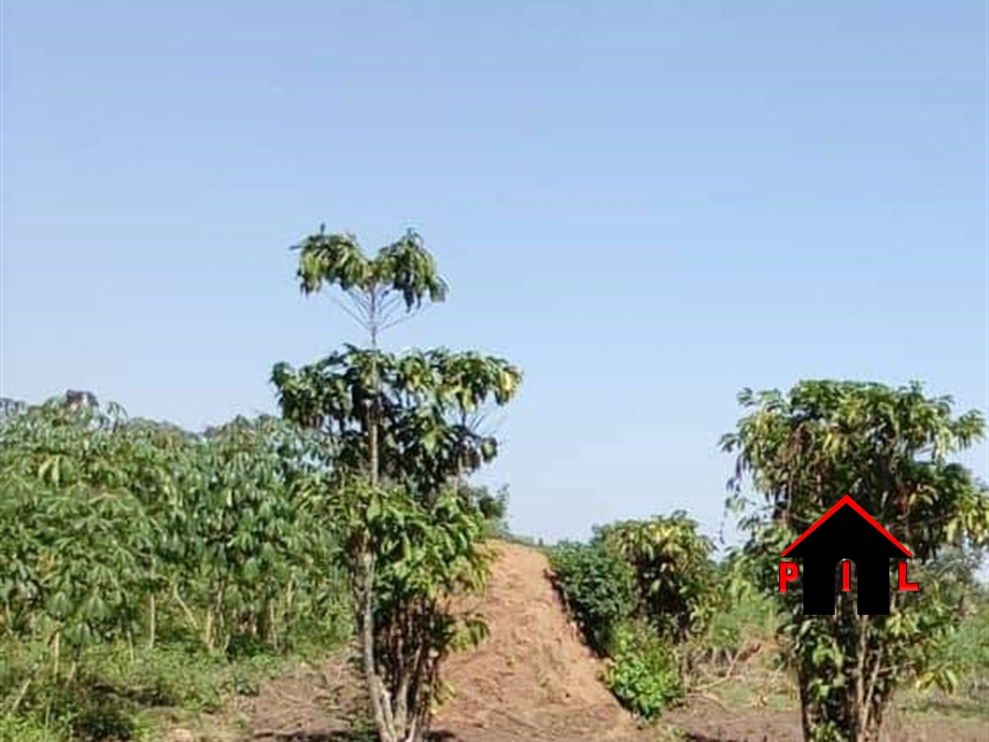 Agricultural Land for sale in Busiika Kalangala