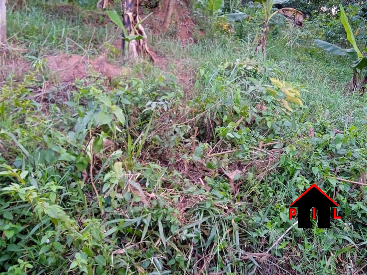 Residential Land for sale in Nakasanjja Mukono