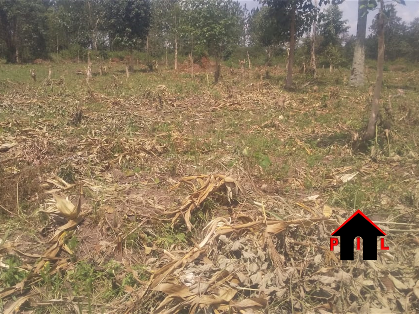 Commercial Land for sale in Kitengomba Wakiso