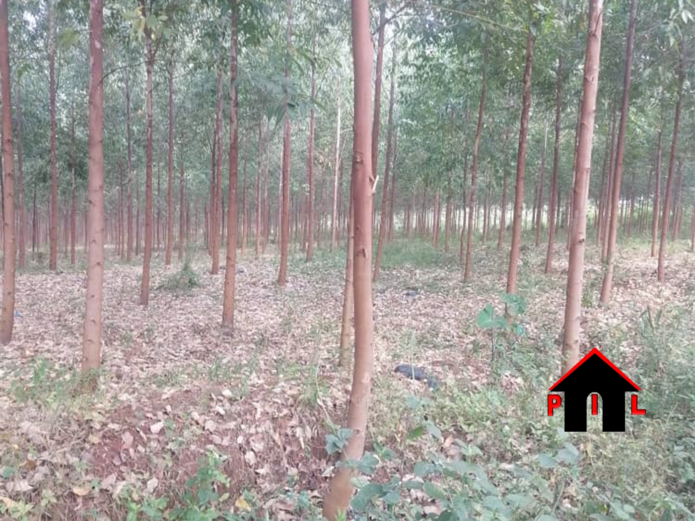 Commercial Land for sale in Namagoma Wakiso