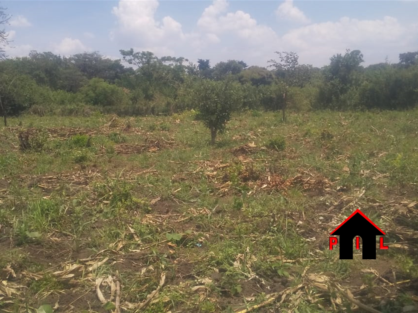Residential Land for sale in Ziloobwe Luweero